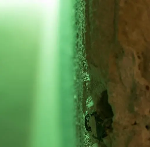 Design 2* فيرونا